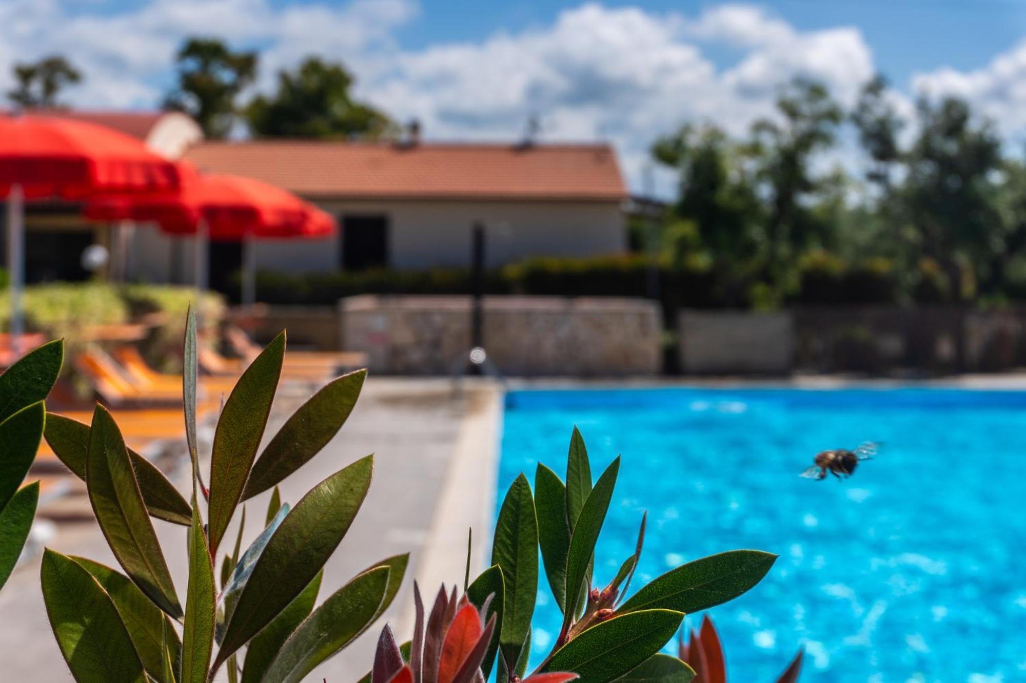 Agriturismo Il Tripesce Vada Dış mekan fotoğraf