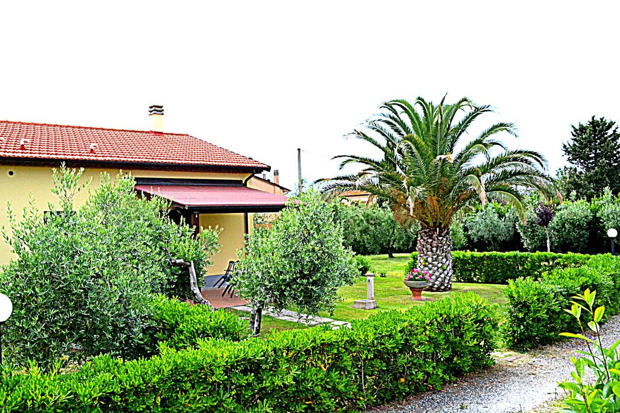 Agriturismo Il Tripesce Vada Dış mekan fotoğraf